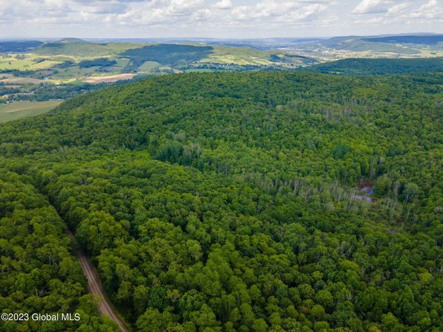 L10.23 Podpadic Road, Seward, NY 12043