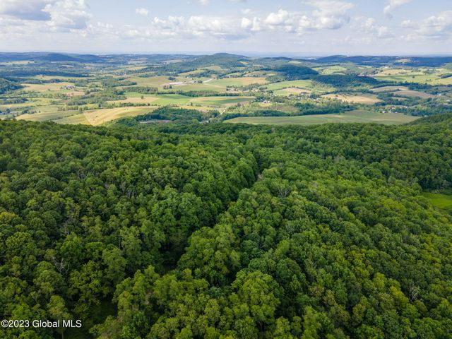 L10.23 Podpadic Road, Seward, NY 12043