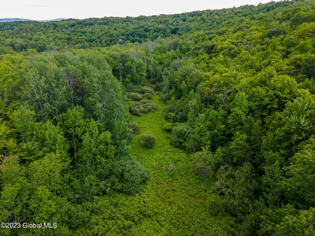 L10.23 Podpadic Road, Seward, NY 12043