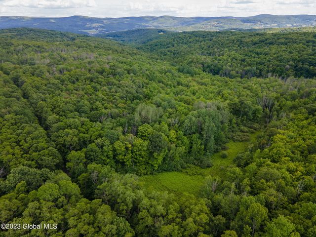 L10.23 Podpadic Road, Seward, NY 12043