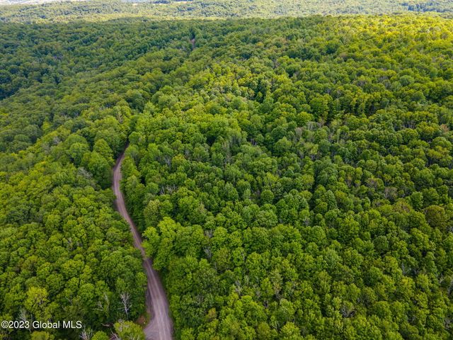 L10.23 Podpadic Road, Seward, NY 12043