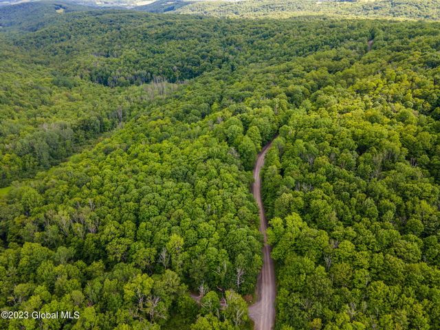 L10.23 Podpadic Road, Seward, NY 12043