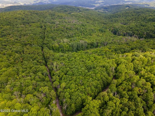 L10.23 Podpadic Road, Seward, NY 12043