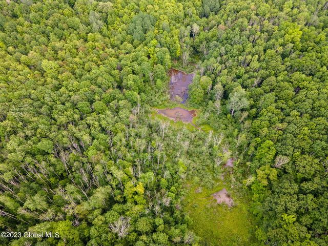 L10.23 Podpadic Road, Seward, NY 12043