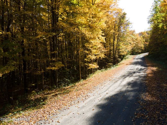 L10.23 Podpadic Road, Seward, NY 12043