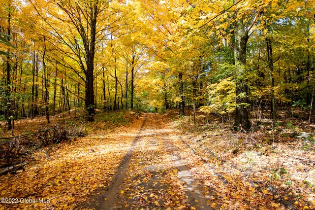 L10.23 Podpadic Road, Seward, NY 12043