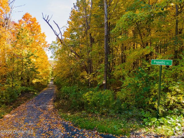 L10.23 Podpadic Road, Seward, NY 12043