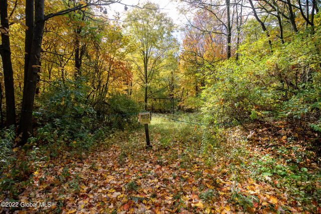 L10.23 Podpadic Road, Seward, NY 12043