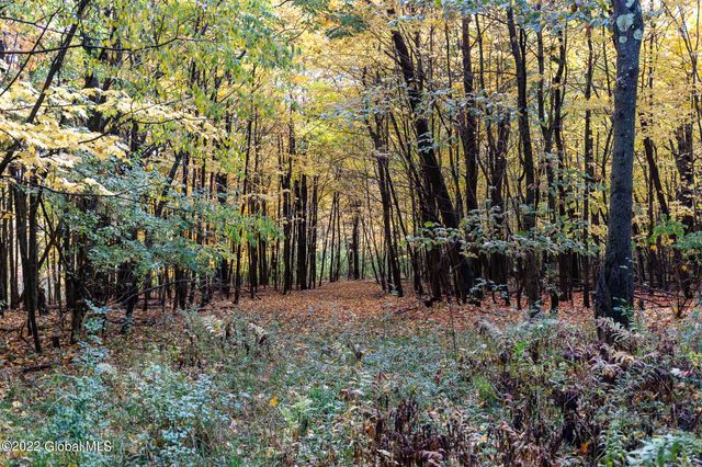 L10.23 Podpadic Road, Seward, NY 12043