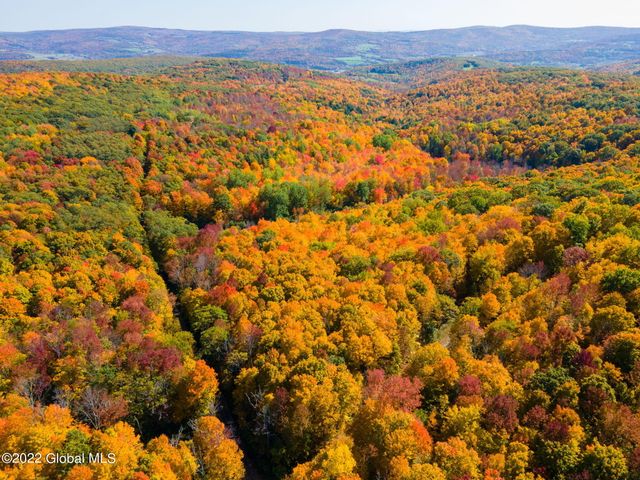 L10.23 Podpadic Road, Seward, NY 12043