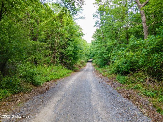 L10.23 Podpadic Road, Seward, NY 12043