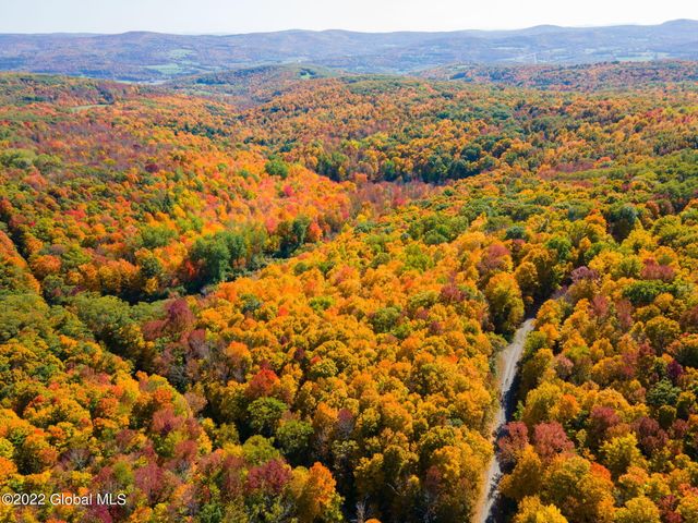 L10.23 Podpadic Road, Seward, NY 12043