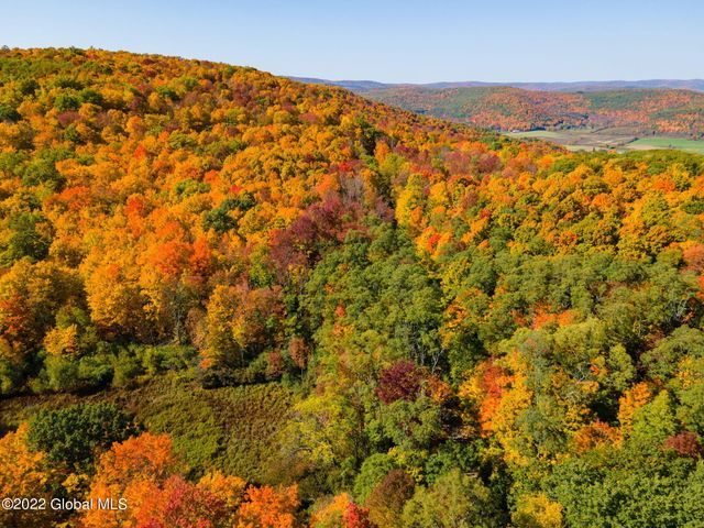 L10.23 Podpadic Road, Seward, NY 12043