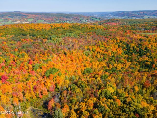 L10.23 Podpadic Road, Seward, NY 12043