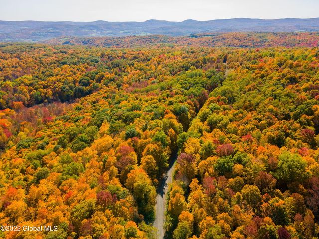 L10.23 Podpadic Road, Seward, NY 12043