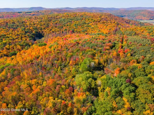 L10.23 Podpadic Road, Seward, NY 12043