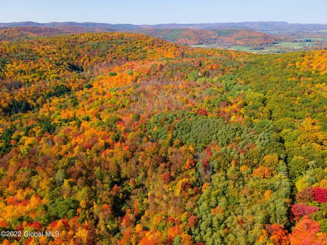 L10.23 Podpadic Road, Seward, NY 12043
