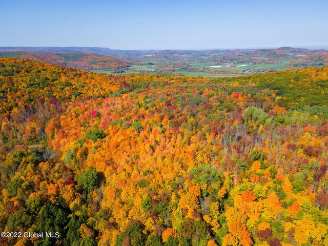 L10.23 Podpadic Road, Seward, NY 12043
