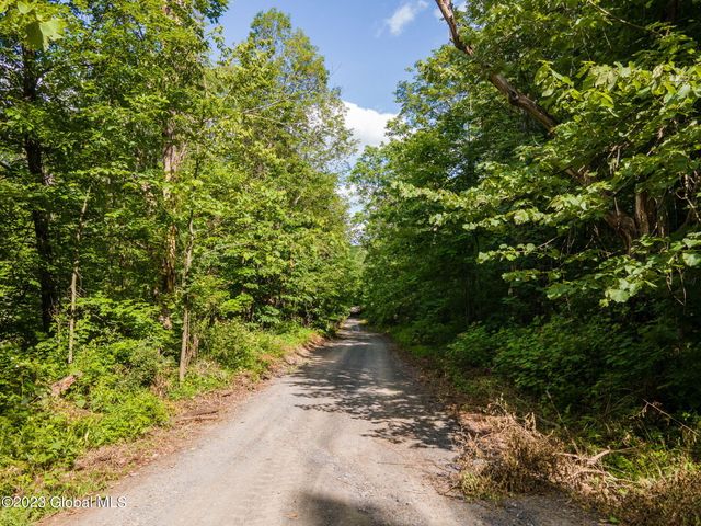 L10.23 Podpadic Road, Seward, NY 12043