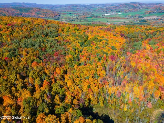 L10.23 Podpadic Road, Seward, NY 12043