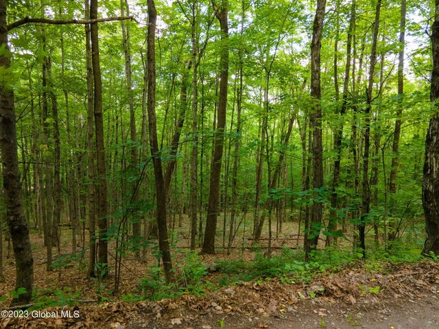 L10.23 Podpadic Road, Seward, NY 12043