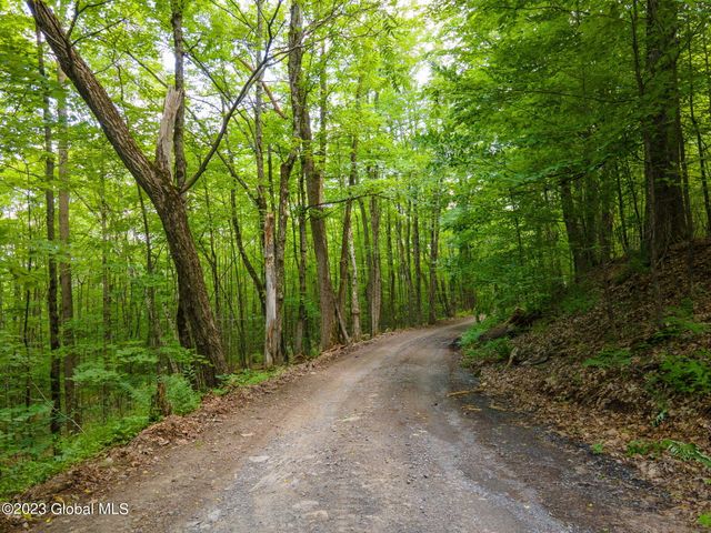 L10.23 Podpadic Road, Seward, NY 12043