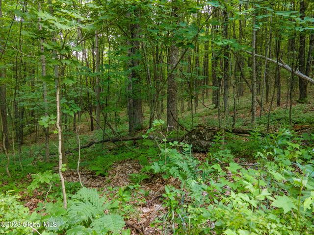 L10.23 Podpadic Road, Seward, NY 12043