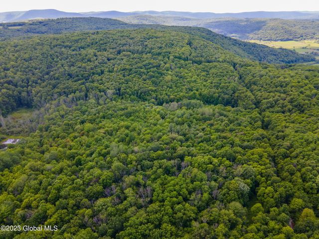 L10.23 Podpadic Road, Seward, NY 12043