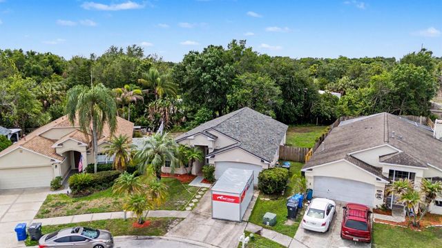 10238 CHARLESTON CORNER ROAD, Tampa, FL 33635