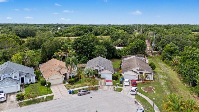 10238 CHARLESTON CORNER ROAD, Tampa, FL 33635