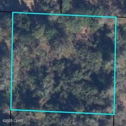 2867 Tarpley Drive, Bonifay, FL 32425