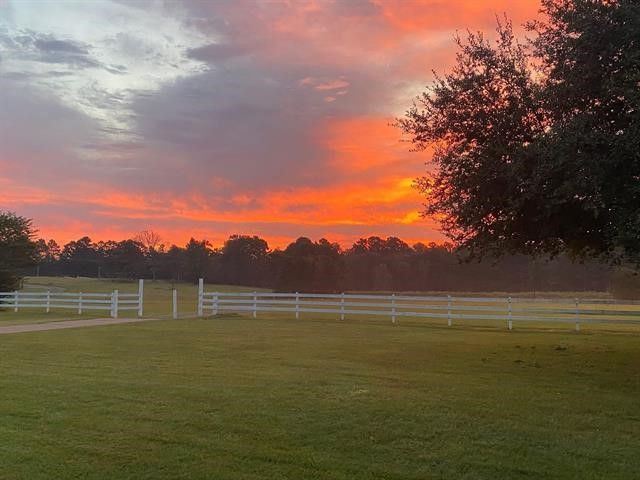 10100 FM 1650, Gilmer, TX 75645