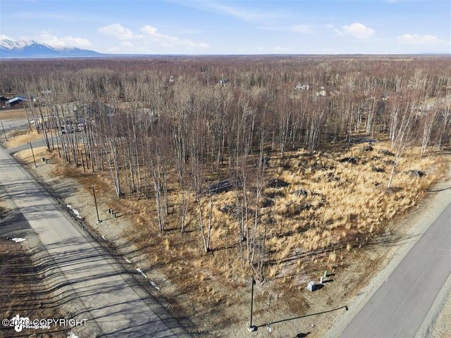 7680 E Prop Court, Palmer, AK 99645
