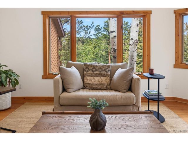 14482 Jubilee Trl, Pine, CO 80470