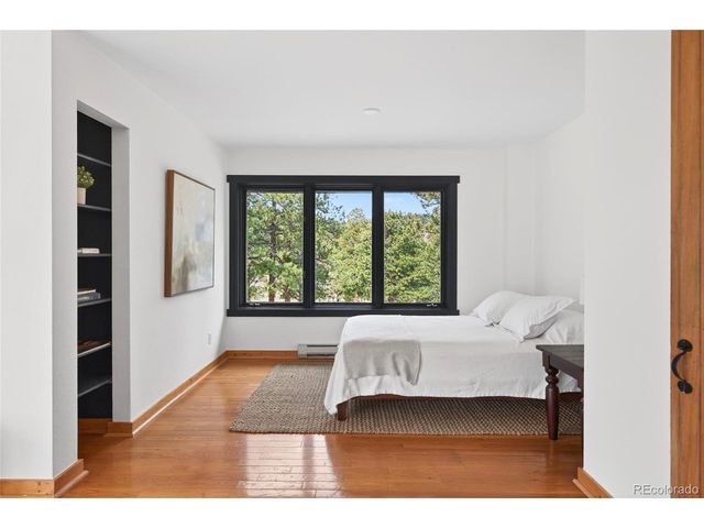 14482 Jubilee Trl, Pine, CO 80470