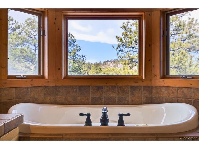 14482 Jubilee Trl, Pine, CO 80470