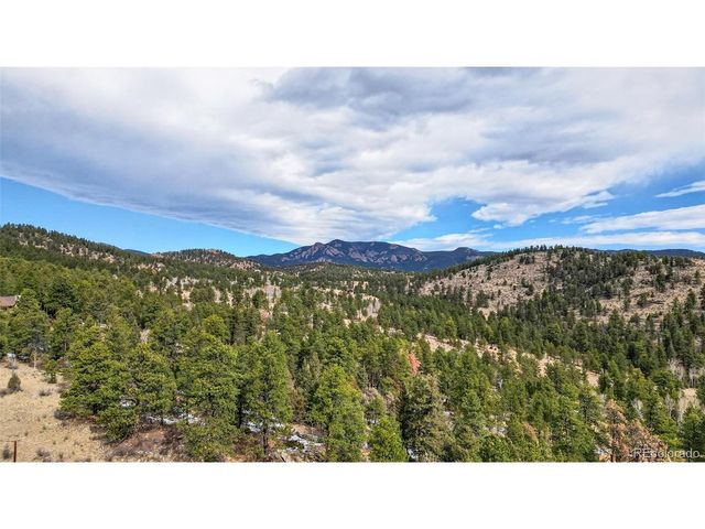 14482 Jubilee Trl, Pine, CO 80470