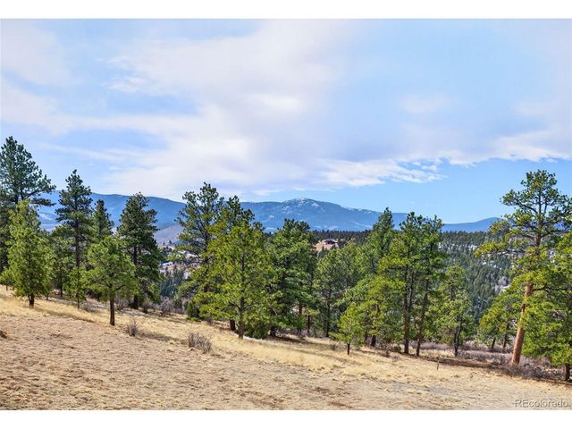 14482 Jubilee Trl, Pine, CO 80470