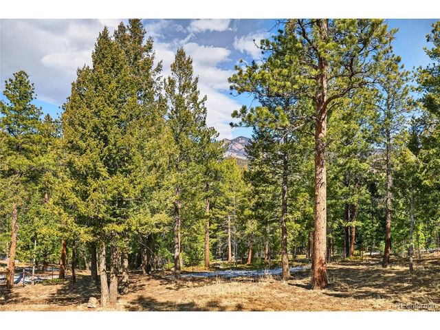 14482 Jubilee Trl, Pine, CO 80470