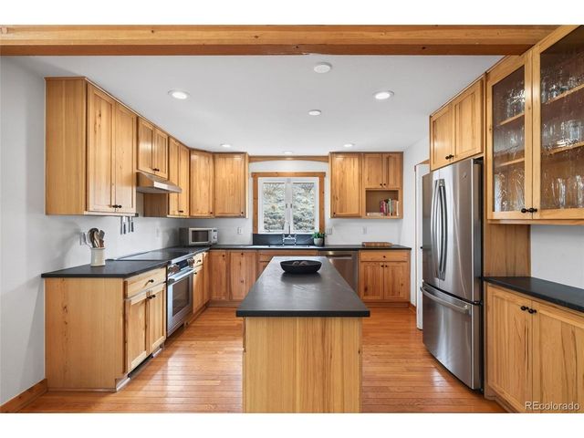 14482 Jubilee Trl, Pine, CO 80470