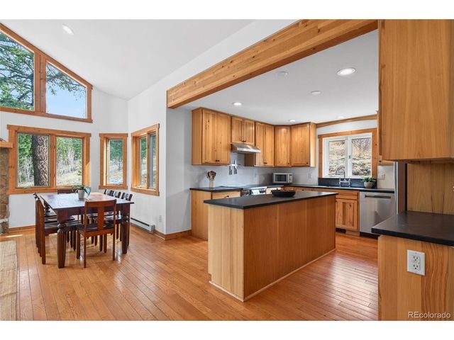 14482 Jubilee Trl, Pine, CO 80470