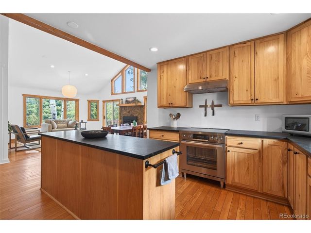 14482 Jubilee Trl, Pine, CO 80470