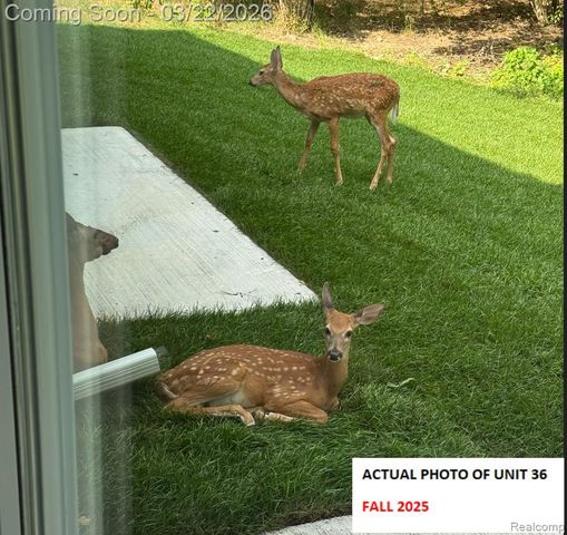 295 Whispering Pines Drive 13, Fenton, MI 48430