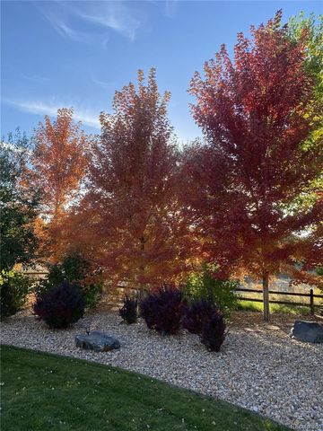 1222 E 135th Place, Thornton, CO 80241