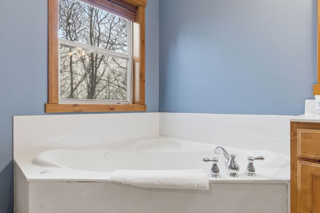 263 Willow Oak Lane, Branson, MO 65616