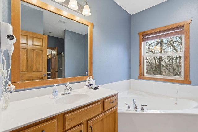 263 Willow Oak Lane, Branson, MO 65616