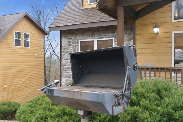 263 Willow Oak Lane, Branson, MO 65616