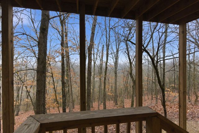 263 Willow Oak Lane, Branson, MO 65616