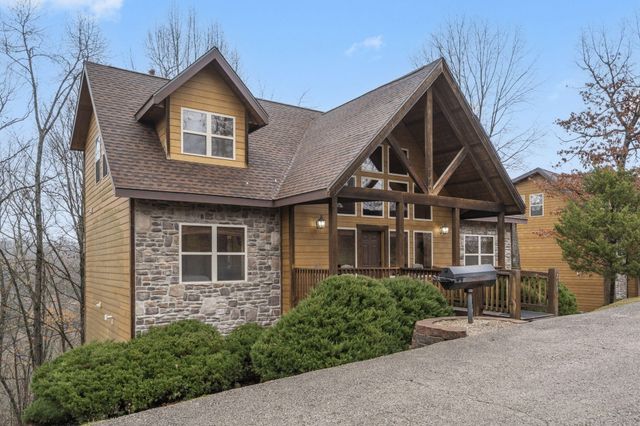 263 Willow Oak Lane, Branson, MO 65616