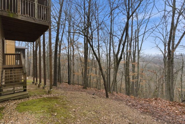 263 Willow Oak Lane, Branson, MO 65616